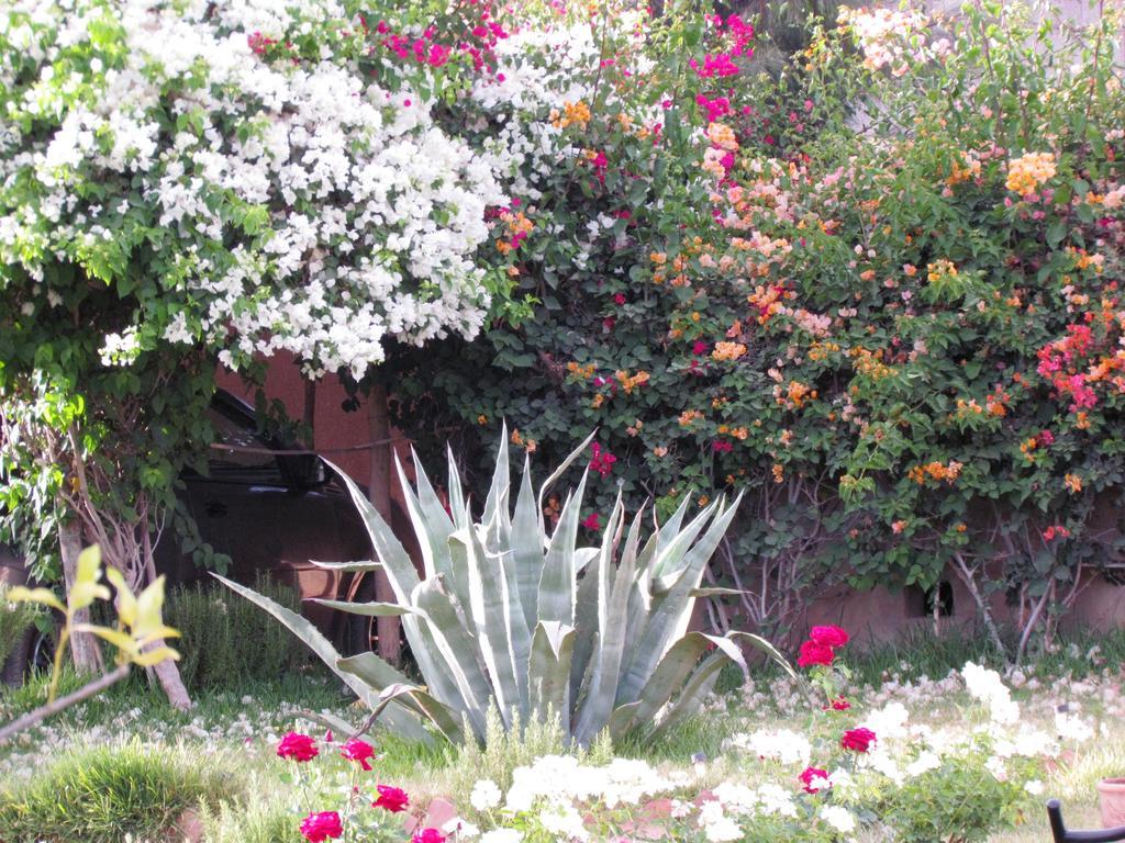 Hotel Le Jardin Des Epices Taroudant Exteriér fotografie